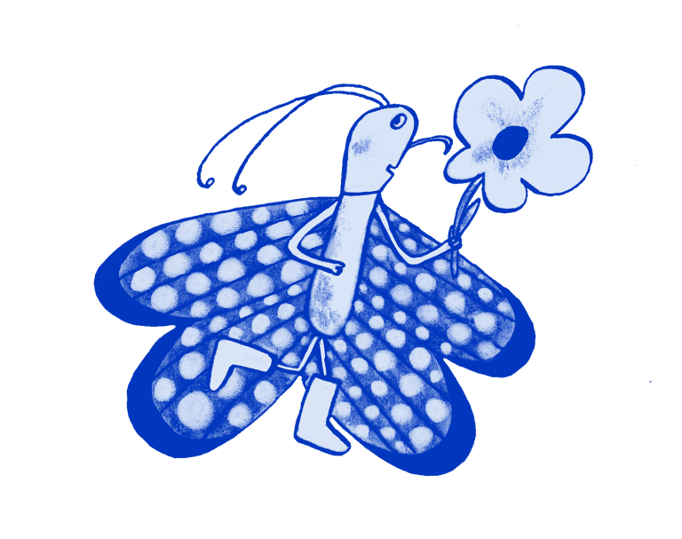 butterfly