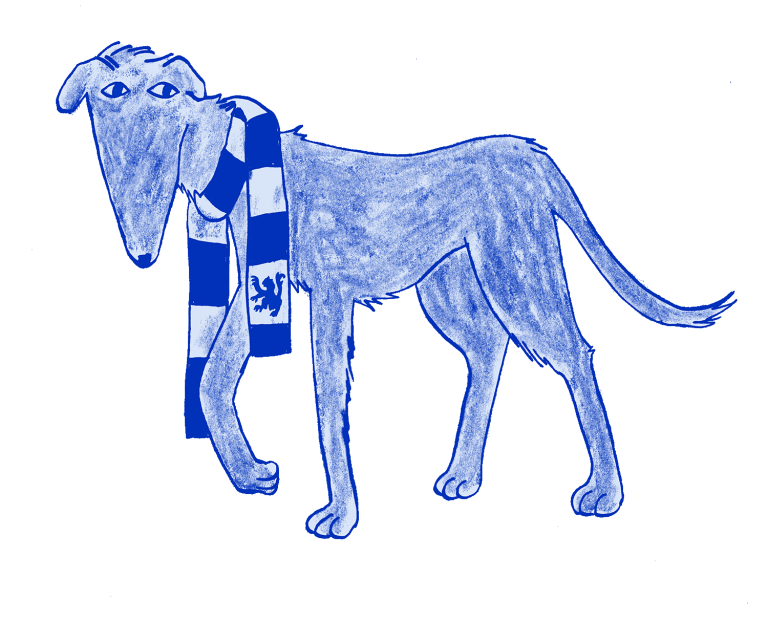 dog