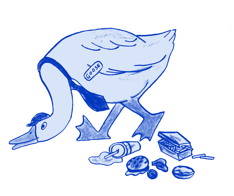 goose